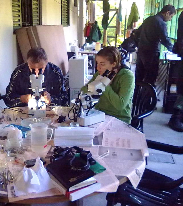 Smithsonian researcher Anna Phillips along with colleagues Boyko Georgiev, left, and Jean Mariaux, right. 