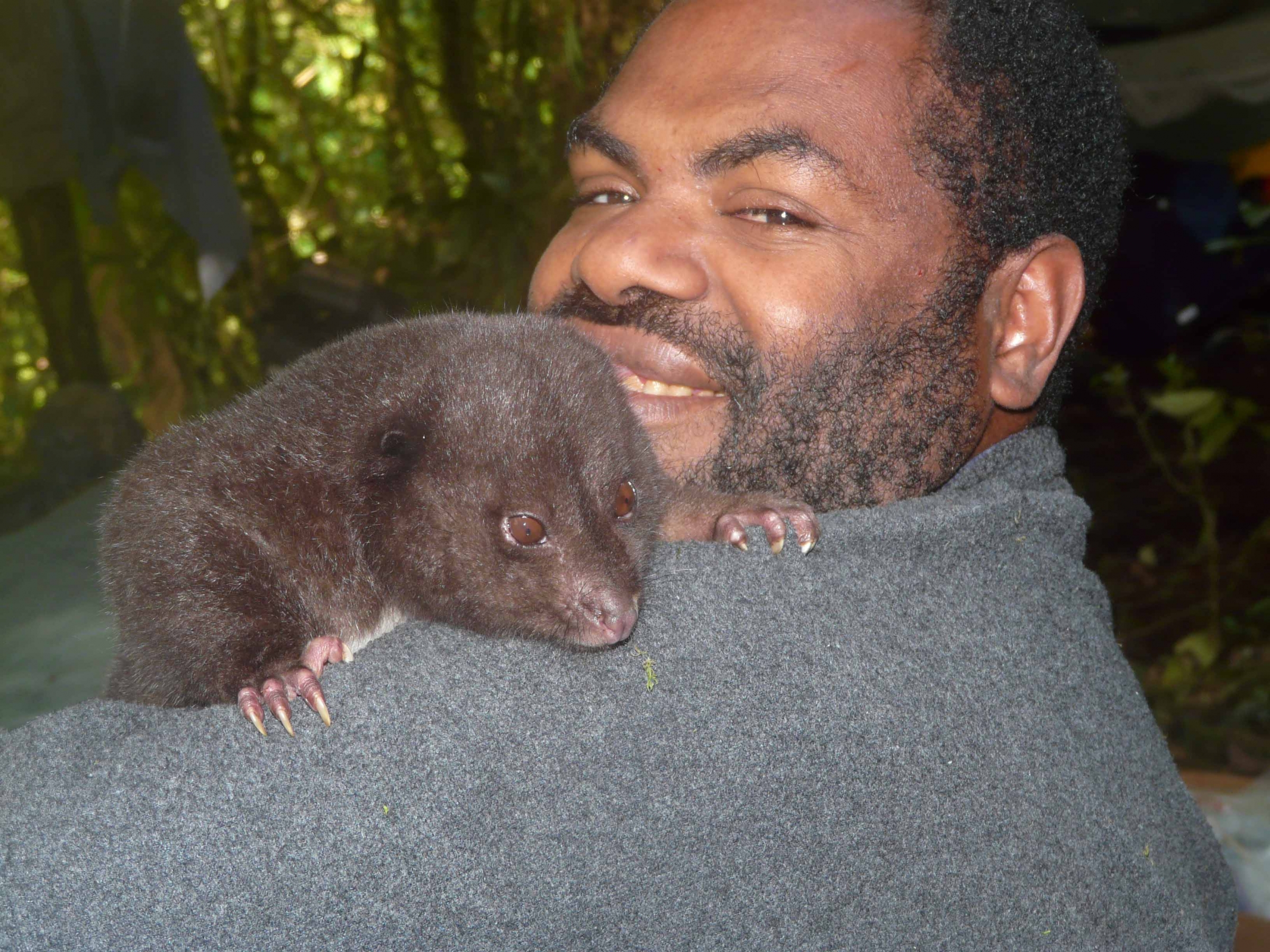 Bosavi silky cuscus with biologist Muse Opiang by Kristofer Helgen