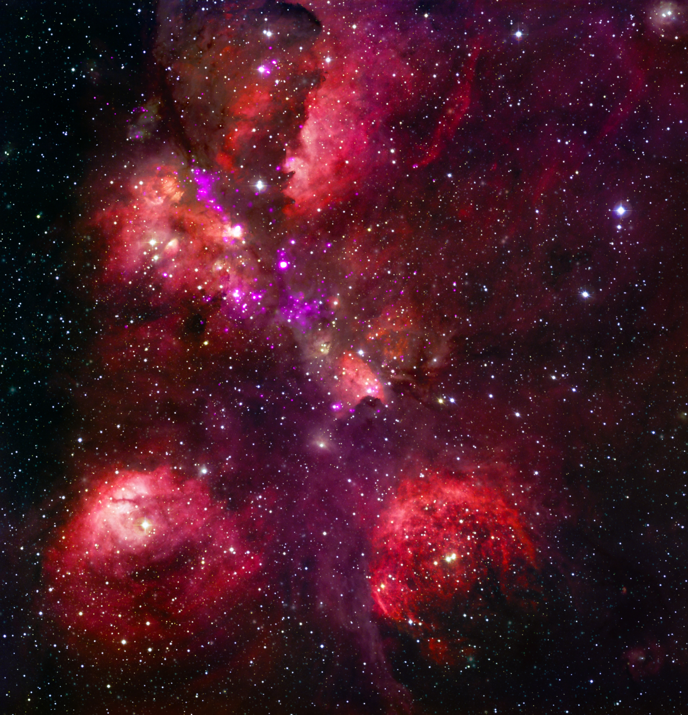 In this composite image of the Cat’s Paw nebula, brilliant red and purple clouds blanket a black sky packed with stars.