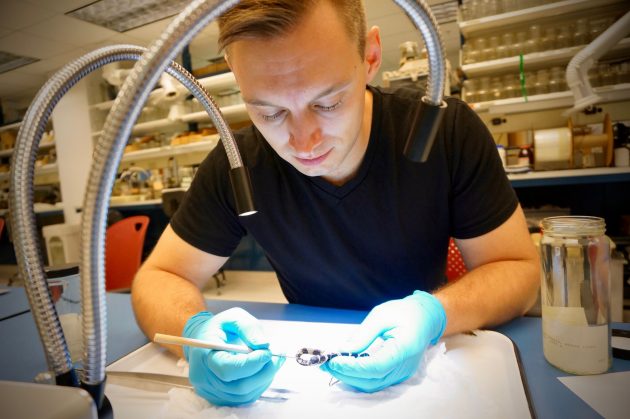 scientist holding snake with gloved hands