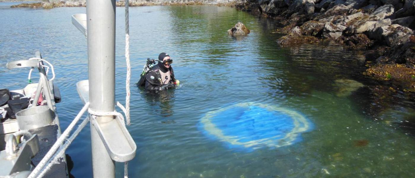 Photograph of a a rocky coast with a small boat and a scuba diver standing above water looking at a glowing blue dome under the surface of the water.