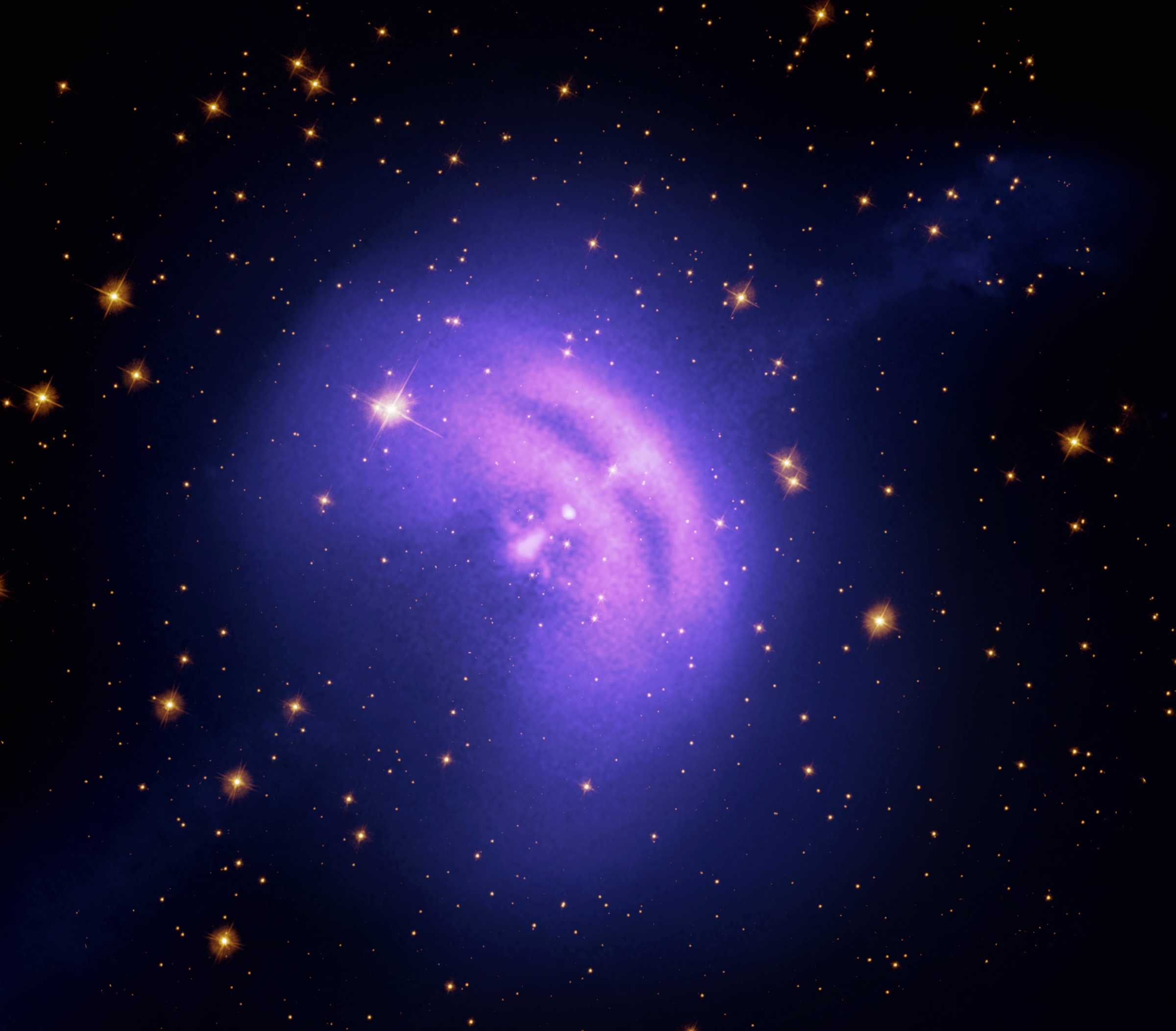 Purple coloring surrounded by blurry edges and orange star-like objects with a black background.