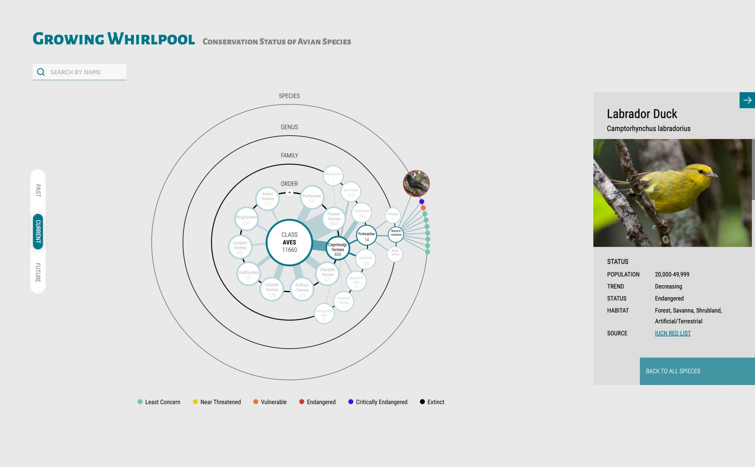 circular diagram displaying classes of birds