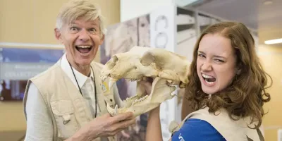Two volunteers in Q?rius hold an animal skull with large teeth.