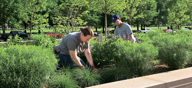 Smithsonian horticulturists Sarah Dickert (left) and Stephen Mann (right) tend to the Flight Garden on a spring morning. 