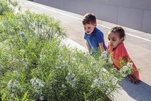 Young visitors Noah Berman (left) and Camille Boileau (right) explore a bed of blue star plants in the Flight Garden.