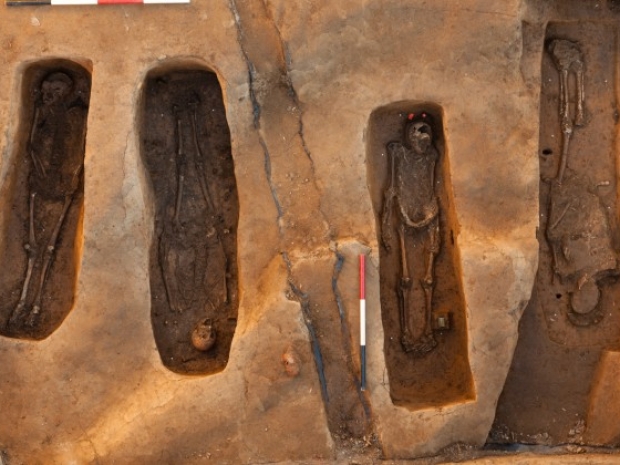 four unearthed skeletons 