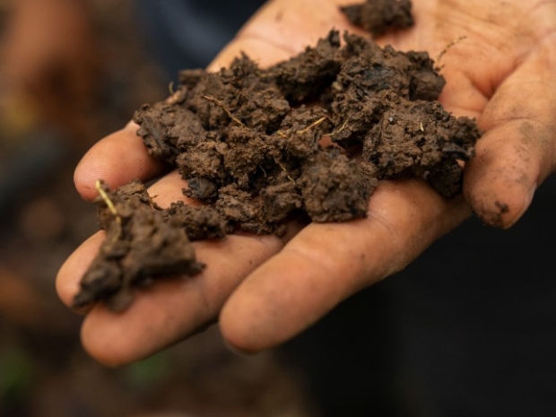 Close up of a hand holding soil. 