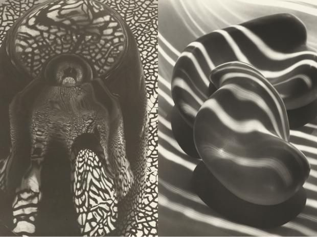 Two side-by-side black and white images of abstracted shapes.