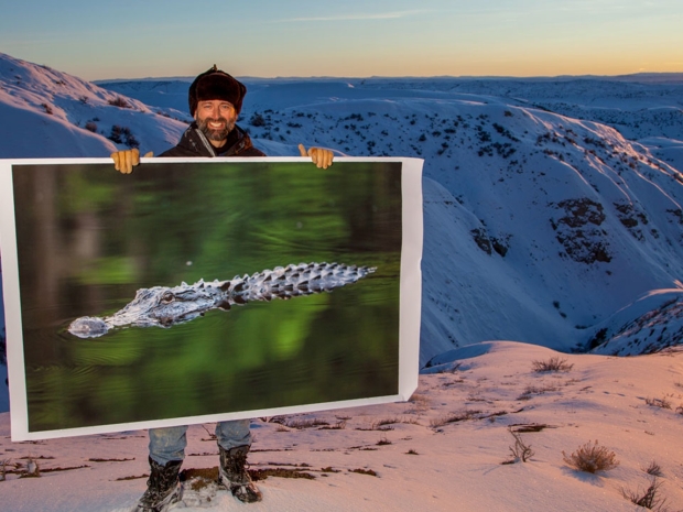 Man in a hat and jacket stands outdoors at top of snow covered mountains holding poster of alligator.