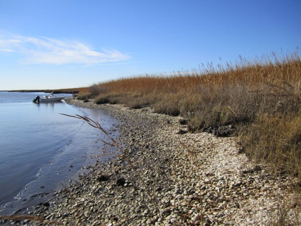 Low tide on a bay
