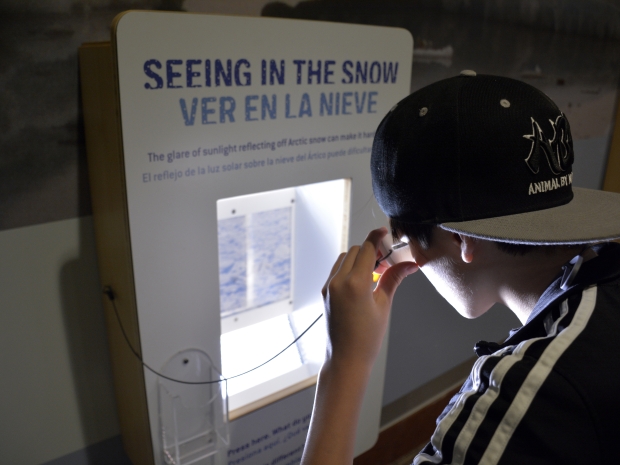 Boy reads interactive screen