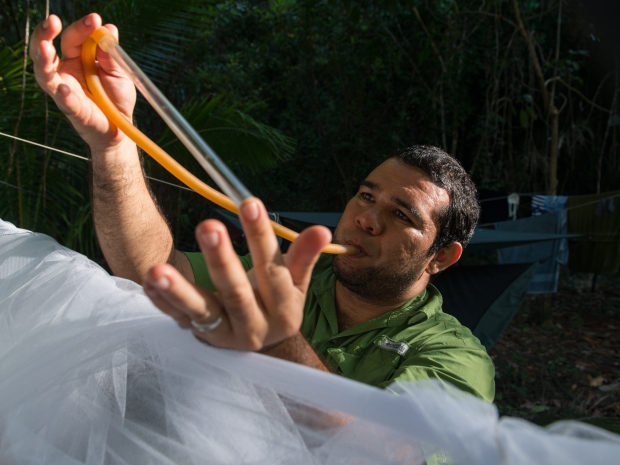 Researcher collecting mosquitoes