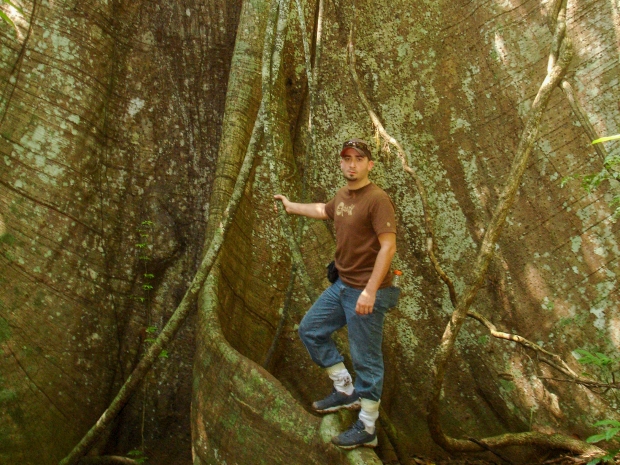 Man stands at base of big tree