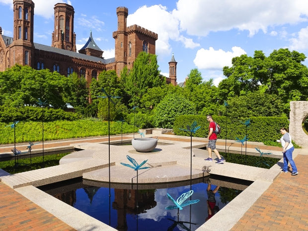 Sign of the Dragonfly