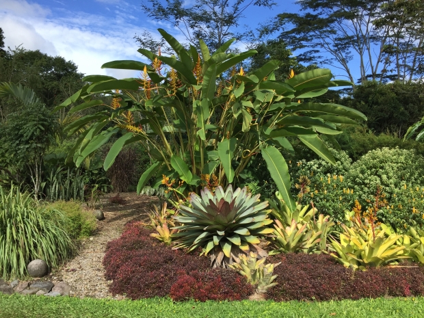 Picture of outdoor landscaping with small, spiky shrubs in shades of green and one tall plant with long thin flowers.