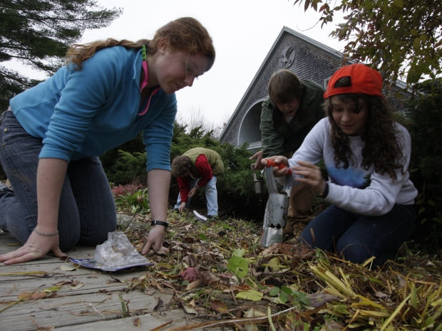 The gardens at Chewonki