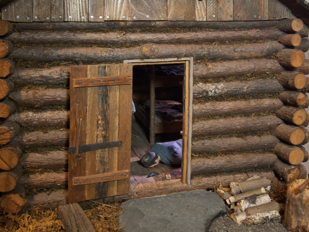 Nutshell Studies - cabin