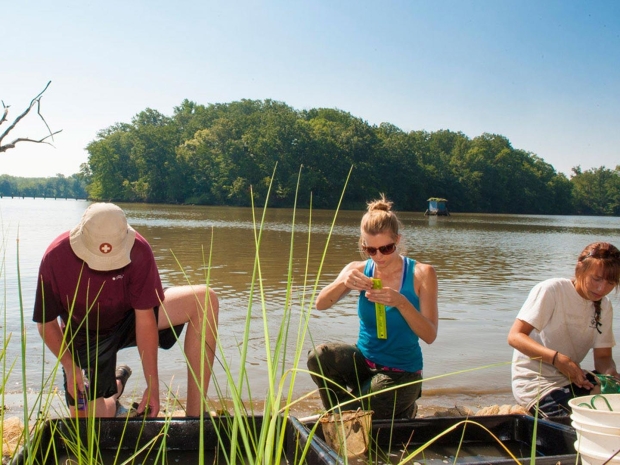researchers at the doing environmental studies
