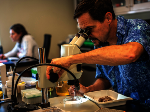 man in blue shirt at microscope