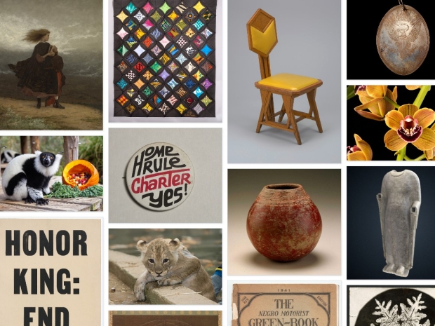 a selection of open access images