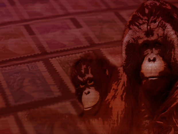 Stylized orangutan illustration.