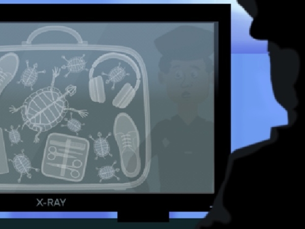inspector looking at x-ray of luggage revealing a turtle