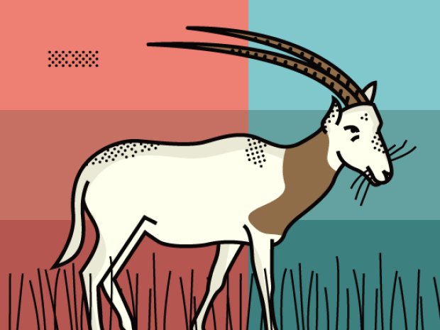 ep. 25 | don’t call me extinct 