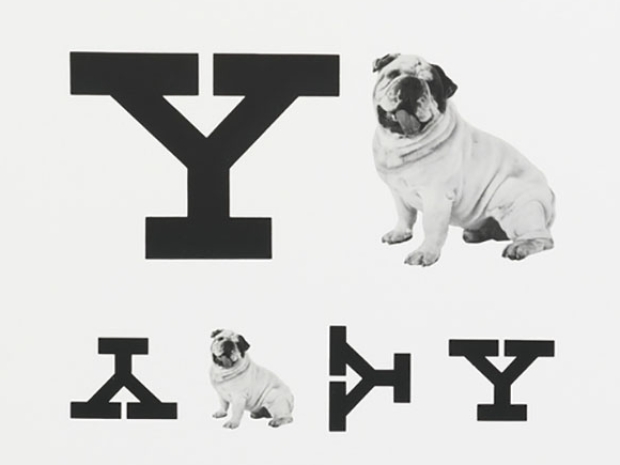 Eye chart with dog