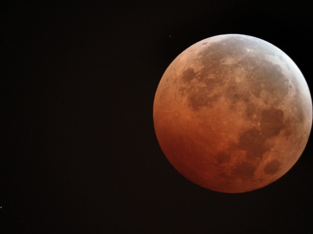Photo of a red colored moon. 