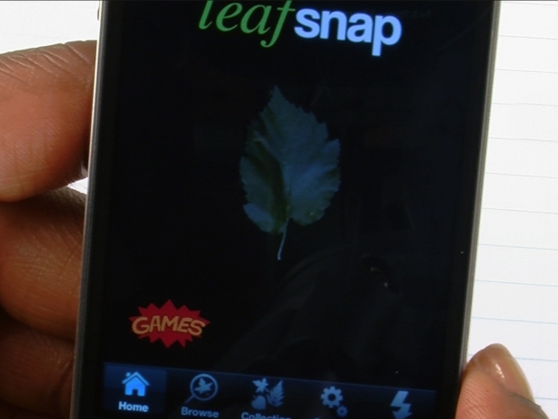 Leafsnap in use