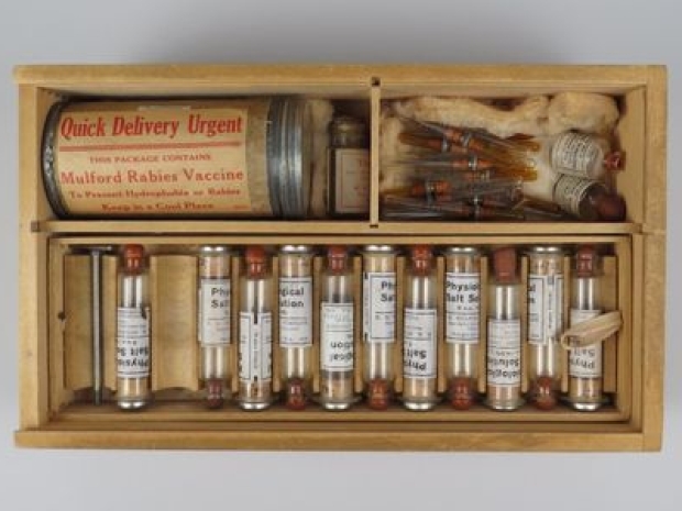 Rabies vaccine kit