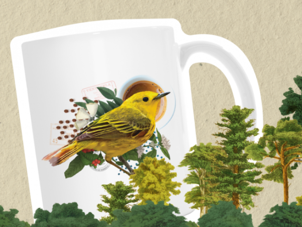 yellow bird in front of coffee cup and beans