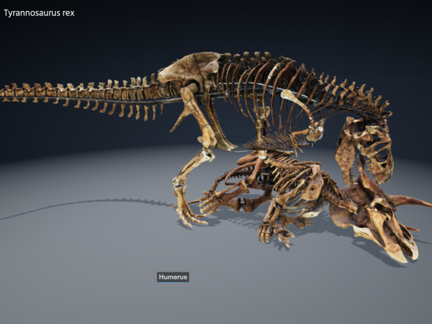 3d model of two dinosaurs locked in battle
