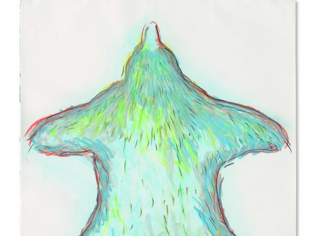 Illustration of a bear from the top view in greens and blues with a red outline.