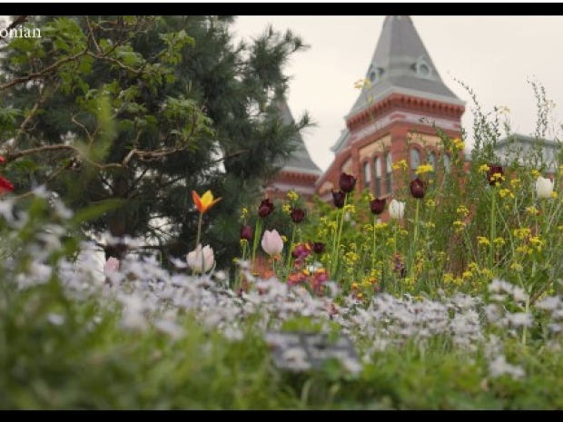 Arts and Industries building exterior