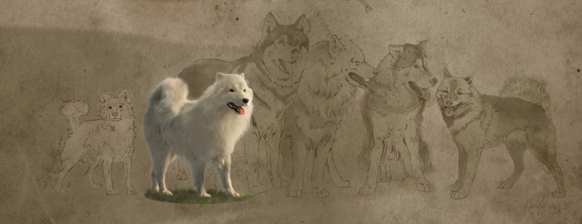 Illustration depicting a fluffy white dog line drawings of other dogs alongside it.