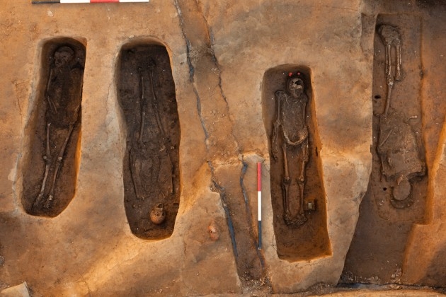 four unearthed skeletons 