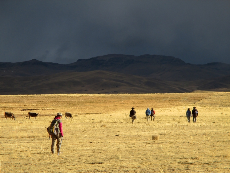 Dark sky over golden plain