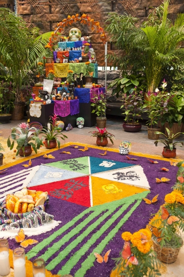 Day of the Dead altar