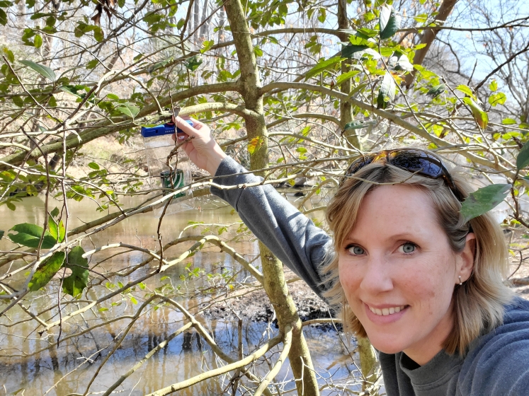 Woman taking reading from tree branch