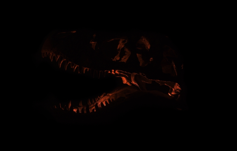 T. rex Skull in the Dark