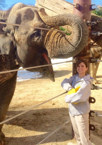 Elephant rolls trunk up happily as woman in gray jacket and khakis stands smiling next to the animal.