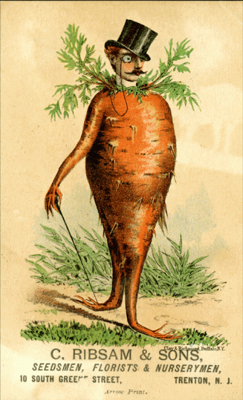 carrot man