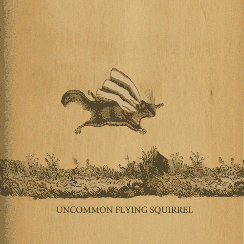 animation of squirrel wearing a cape